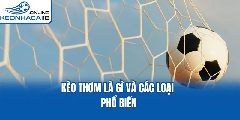 Kèo thơm là gì và các loại phổ biến Kèo thơm là gì và các loại phổ biến