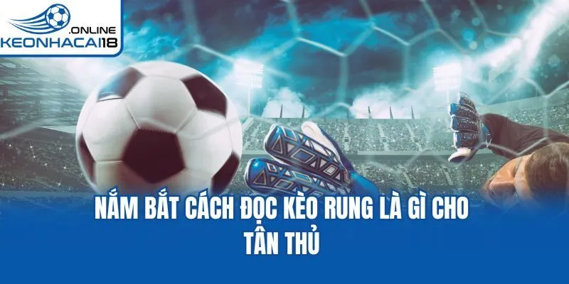 Nắm bắt cách đọc kèo rung là gì cho tân thủ Nắm bắt cách đọc kèo rung là gì cho tân thủ