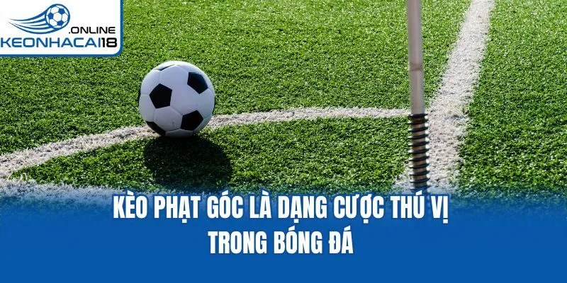 Kèo phạt góc là dạng cược thú vị trong bóng đá Kèo phạt góc là dạng cược thú vị trong bóng đá
