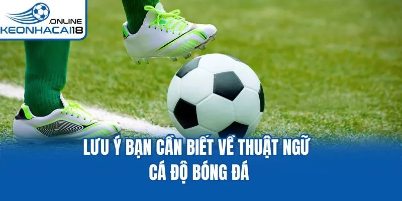 Lưu ý bạn cần biết về thuật ngữ cá độ bóng đá Lưu ý bạn cần biết về thuật ngữ cá độ bóng đá