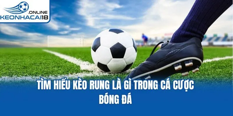 Tìm hiểu kèo rung là gì trong cá cược bóng đá Tìm hiểu kèo rung là gì trong cá cược bóng đá