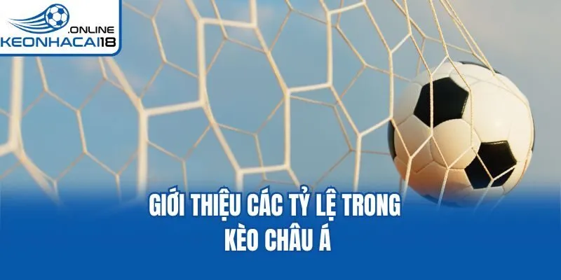 Giới thiệu các tỷ lệ trong kèo châu Á Giới thiệu các tỷ lệ trong kèo châu Á