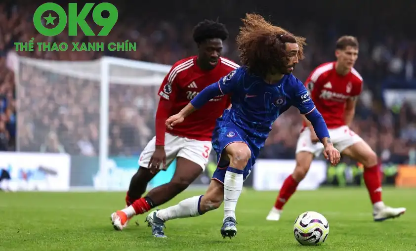 Phân tích trận đấu Nottingham Forest vs Chelsea: Thận trọng trước ngọn lửa rừng